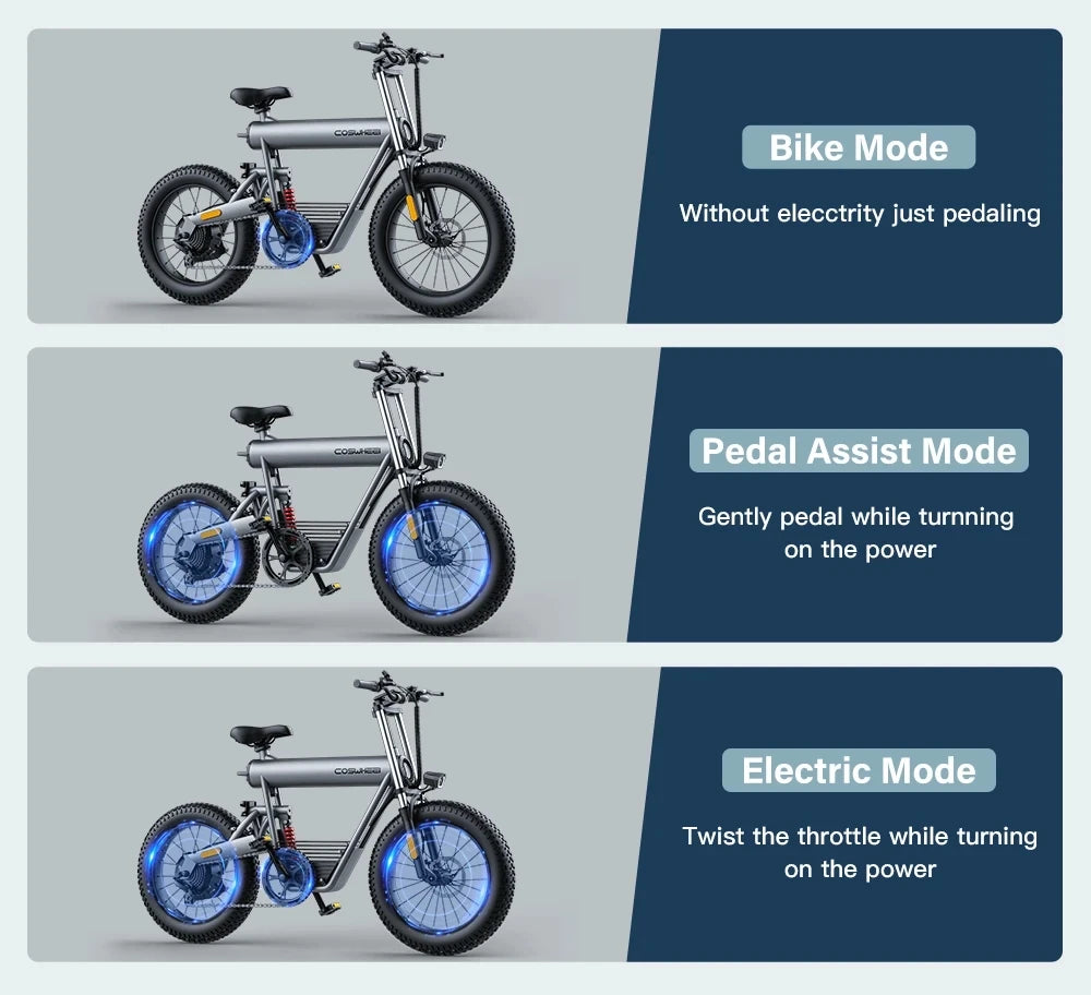 20-inch Fat Tire E-Mountain bike
