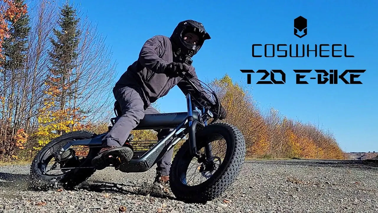 20-inch Fat Tire E-Mountain bike