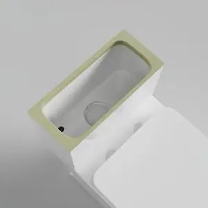 12"in One Piece Elongated Modern Toilet