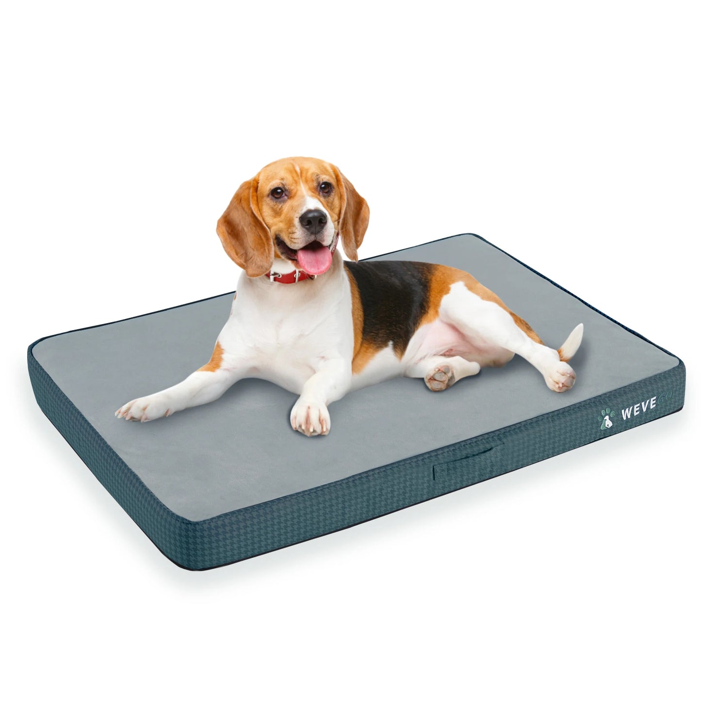 Removable Washable Cover, Gel Memory Foam with Waterproof Lining