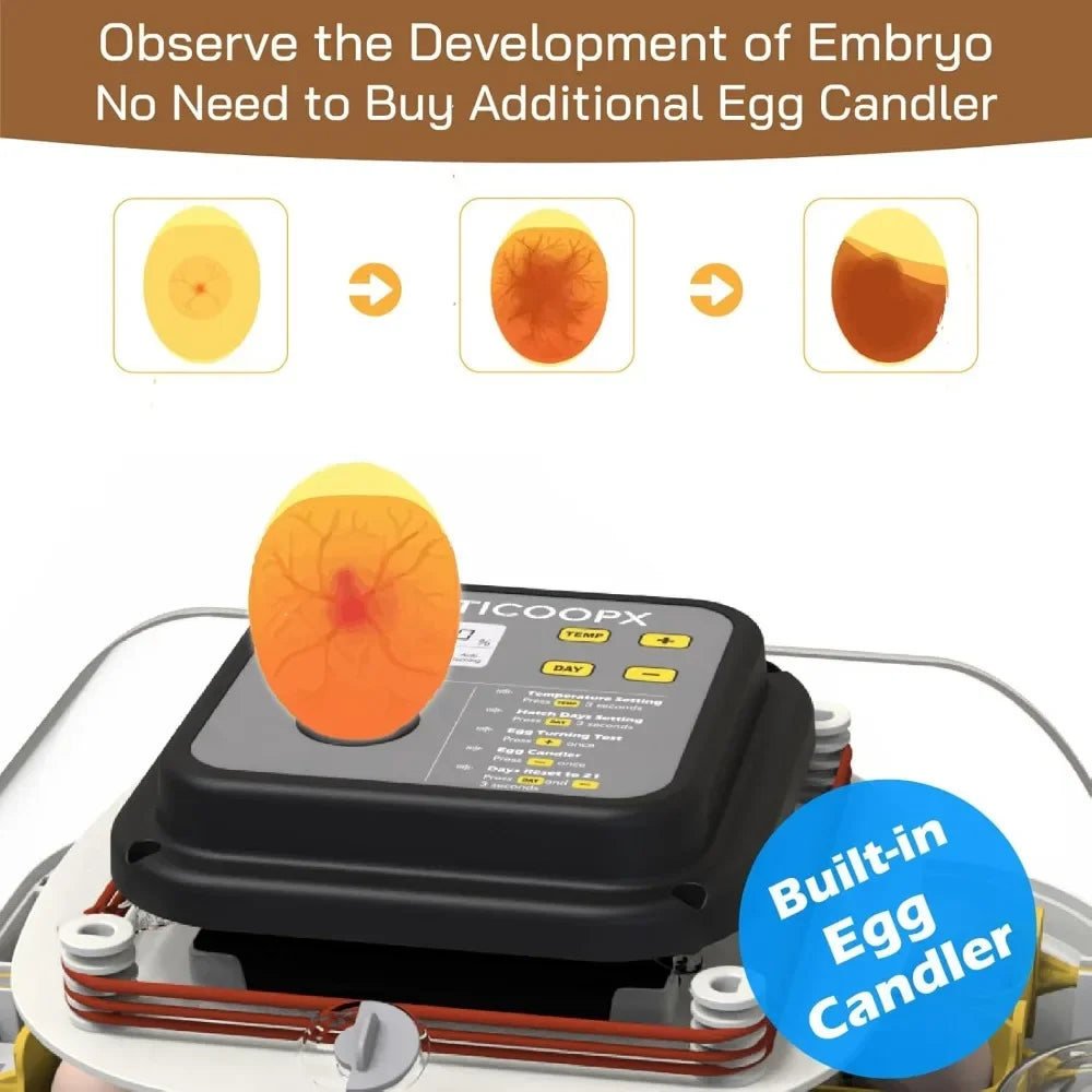 Tool 30 Egg Incubator with Automatic Egg Turner