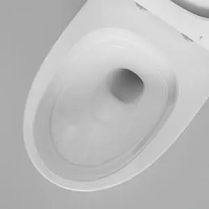 12"in One Piece Elongated Modern Toilet