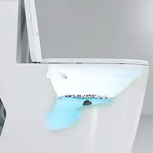 12"in One Piece Elongated Modern Toilet