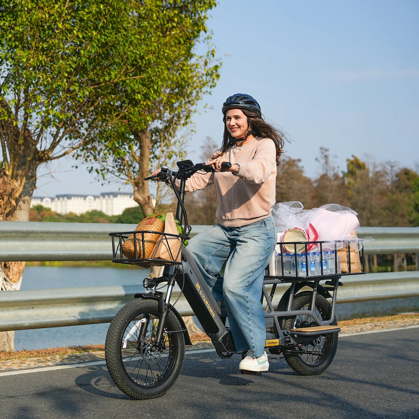 20-inch tire off-road family electric bicycle