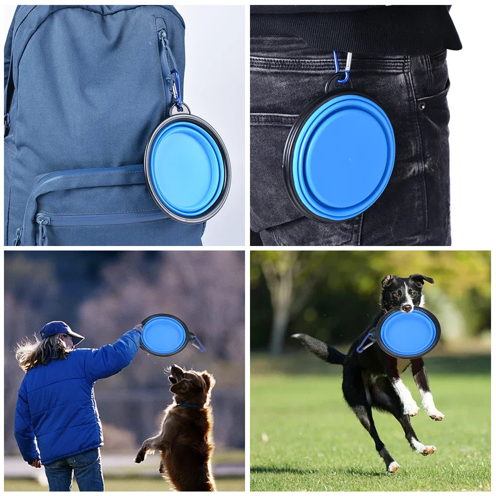 Portable Folding Pet Bowl Dishes with Carabiner Pet Supplies
