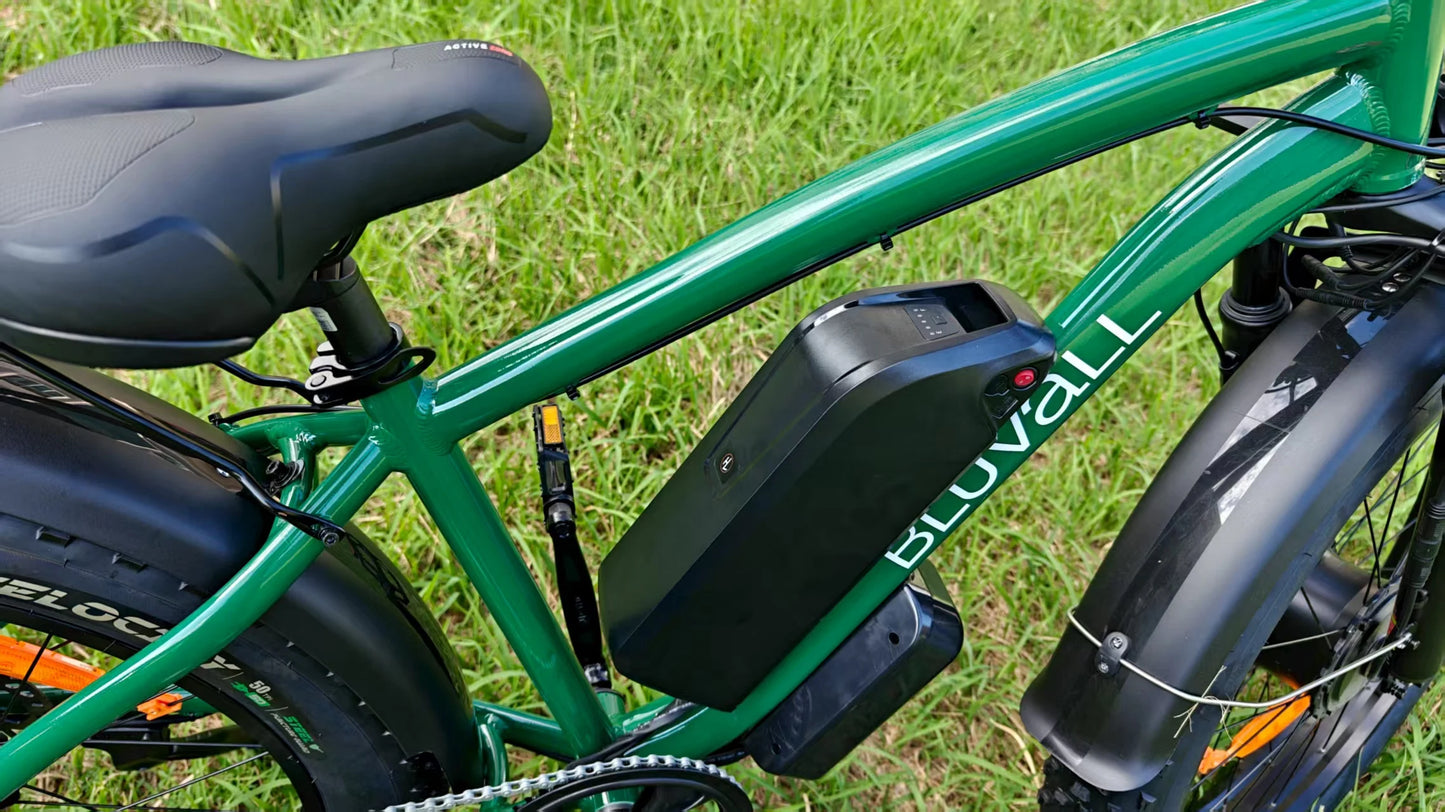 35 MPH High Speed, Electric Bike for All-Terrain