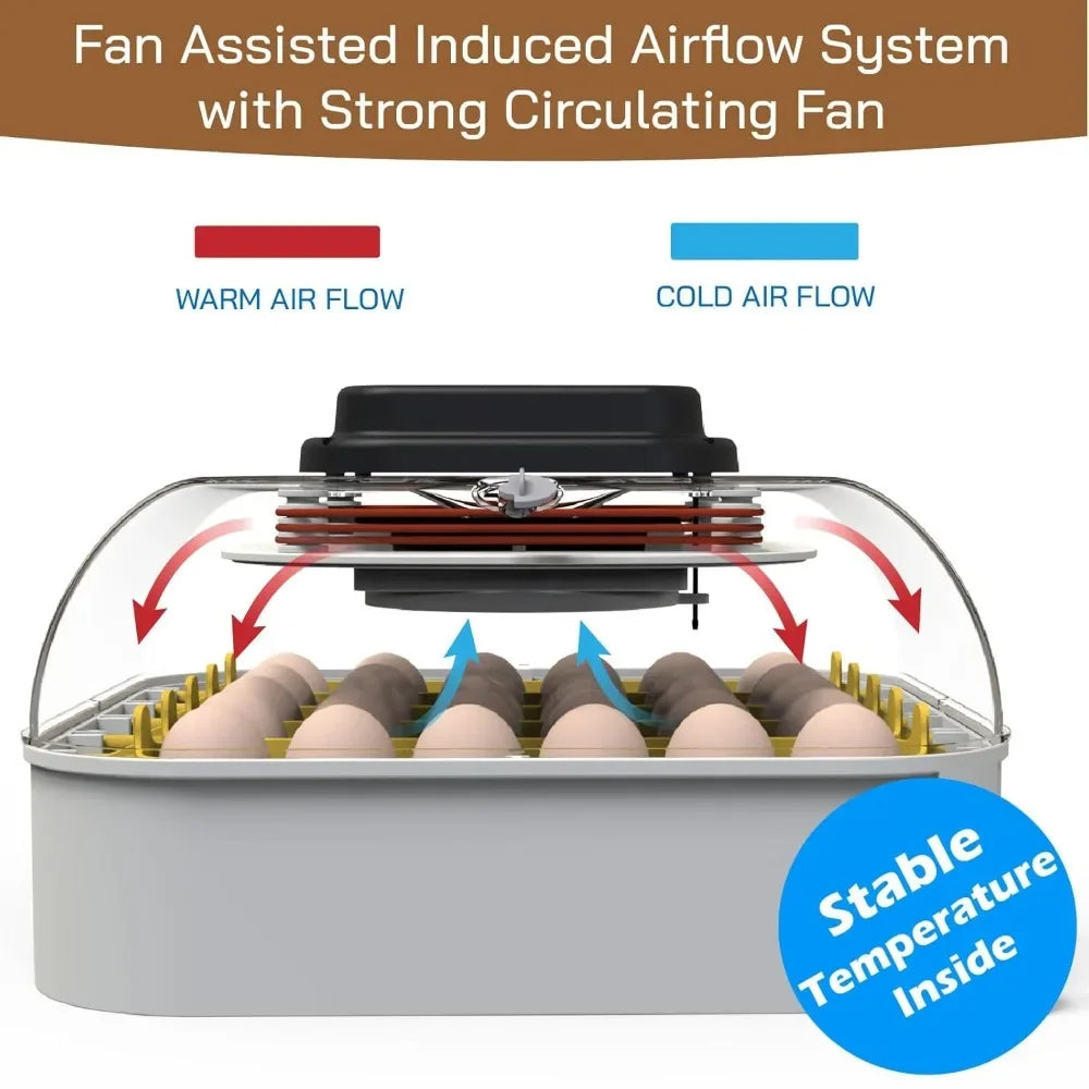 Tool 30 Egg Incubator with Automatic Egg Turner