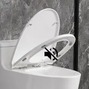 12"in One Piece Elongated Modern Toilet