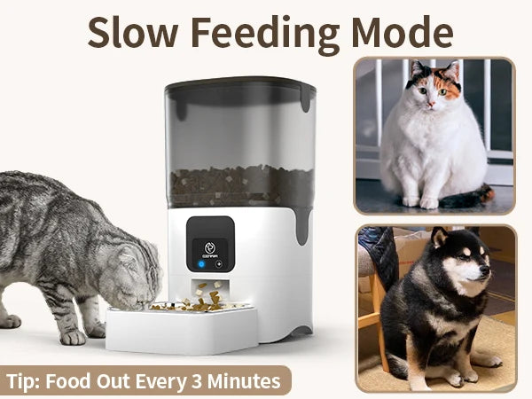 Smart Automatic Cat Wi-Fi Pet Feeder with APP Control for Remote Feeding