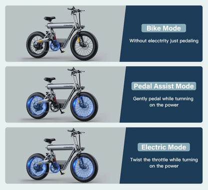 20-inch Fat Tire E-Mountain bike