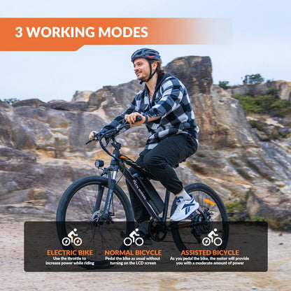 5TH WHEEL AB17 Electric Bike