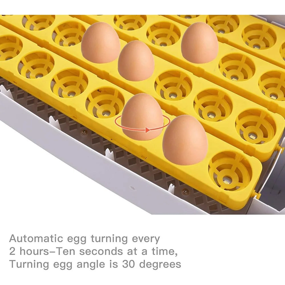 High quality 55 Egg Incubator with Humidity Display
