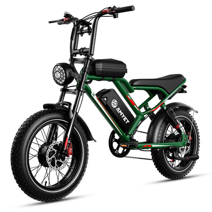 Adults Electric Bike with 2000W Dual Motor