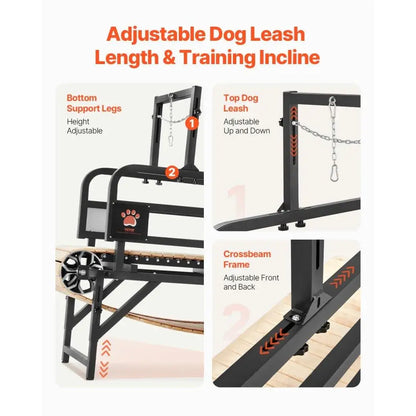 Treadmill for Dogs Supporting Up to 220 lbs.
