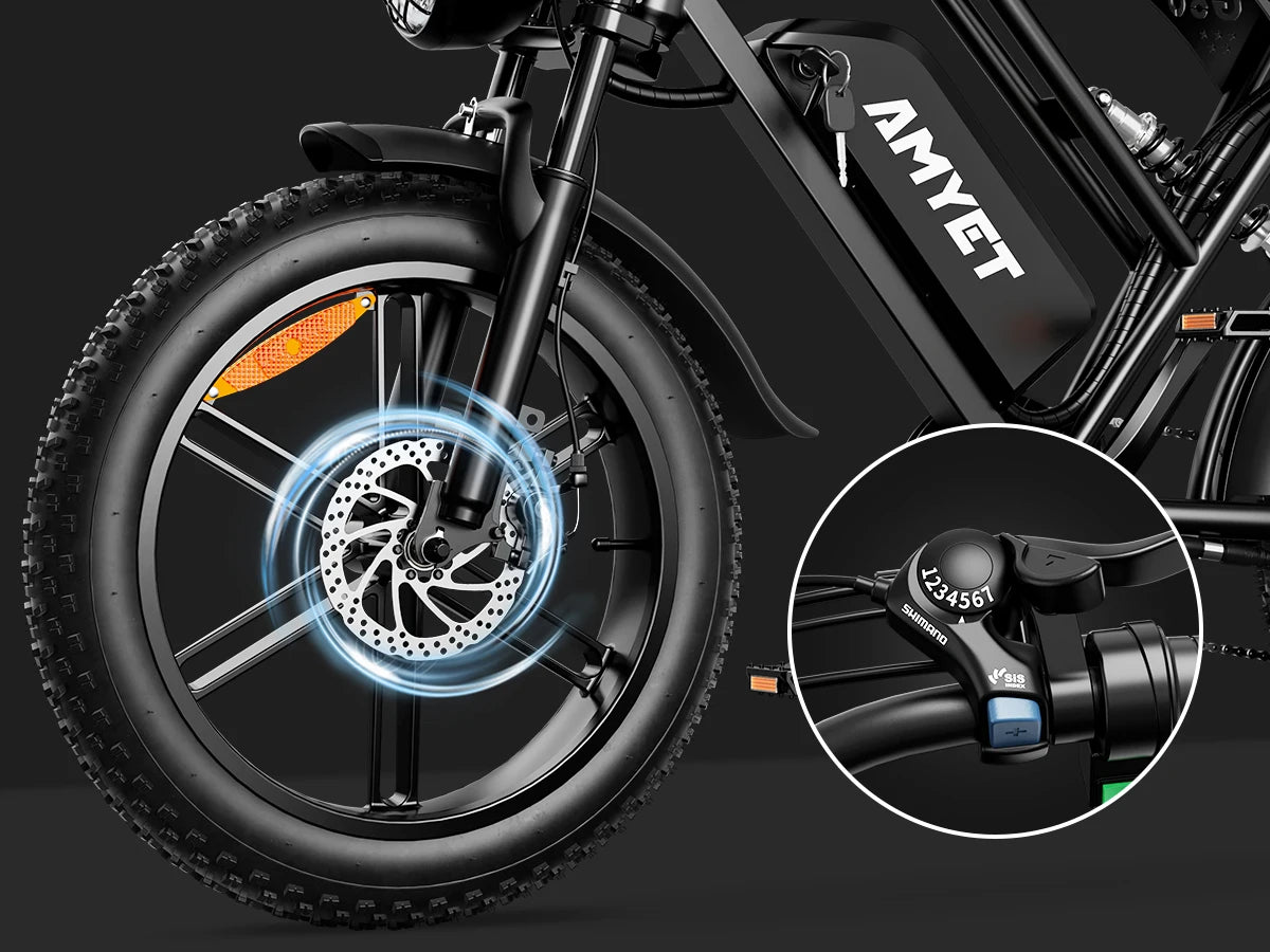 1000W Motor Bicycle 48V 20AH 20“Tire Mountain Ebike.