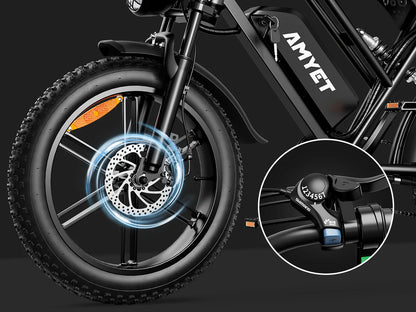 1000W Motor Bicycle 48V 20AH 20“Tire Mountain Ebike.