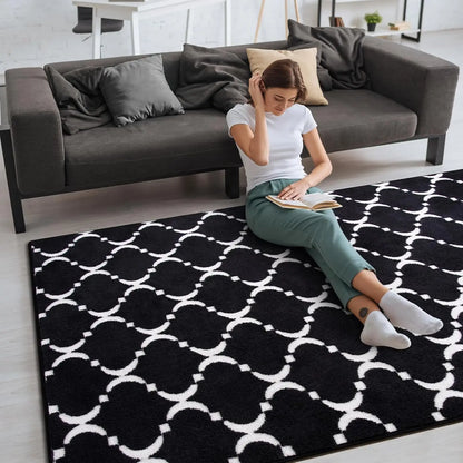 Large Shag Area Rug Memory Foam Indoor Carpet for Kids Room Decor