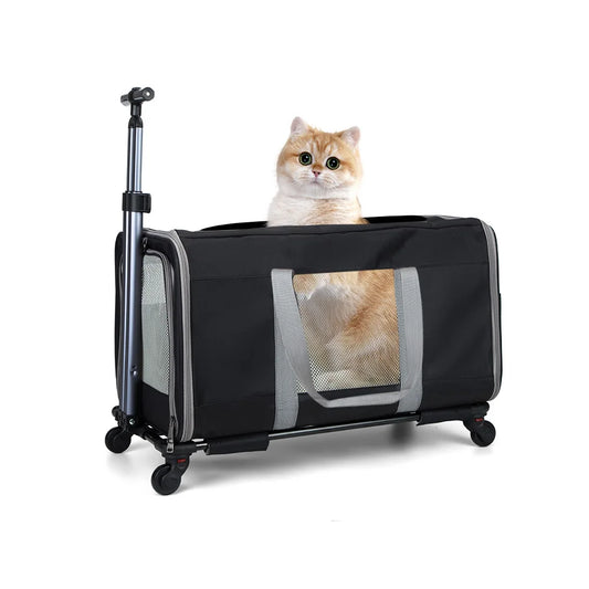 Cat trolley for 2 cats with wheels & safety belts for travel