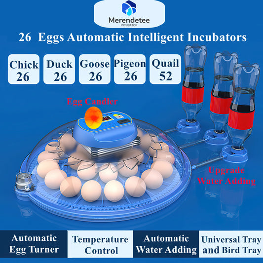 26-52 Eggs Automatic Incubator, Upgrade Automatic Water Adding