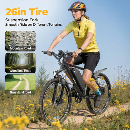 7 Speed Long Range Electric Mountain Bike
