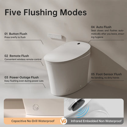 Smart Toilet with Bidet, with Built-in Tank