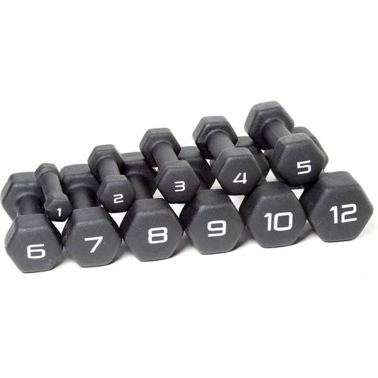 10lb Pair Non-Slip Quiet Hand Weights for Home Gym