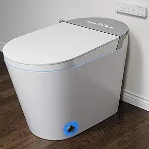Luxury Smart Toilet with Water Tank, Auto Close Lid
