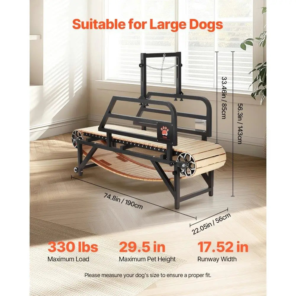 Treadmill for Dogs Supporting Up to 220 lbs.