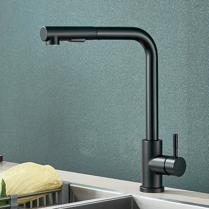 Flexible Gourmet Kitchen Faucet 2 Way Nozzle