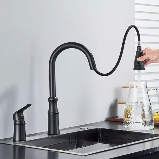 Matte Black Kitchen Sink Faucet with Pull Down Sprayer