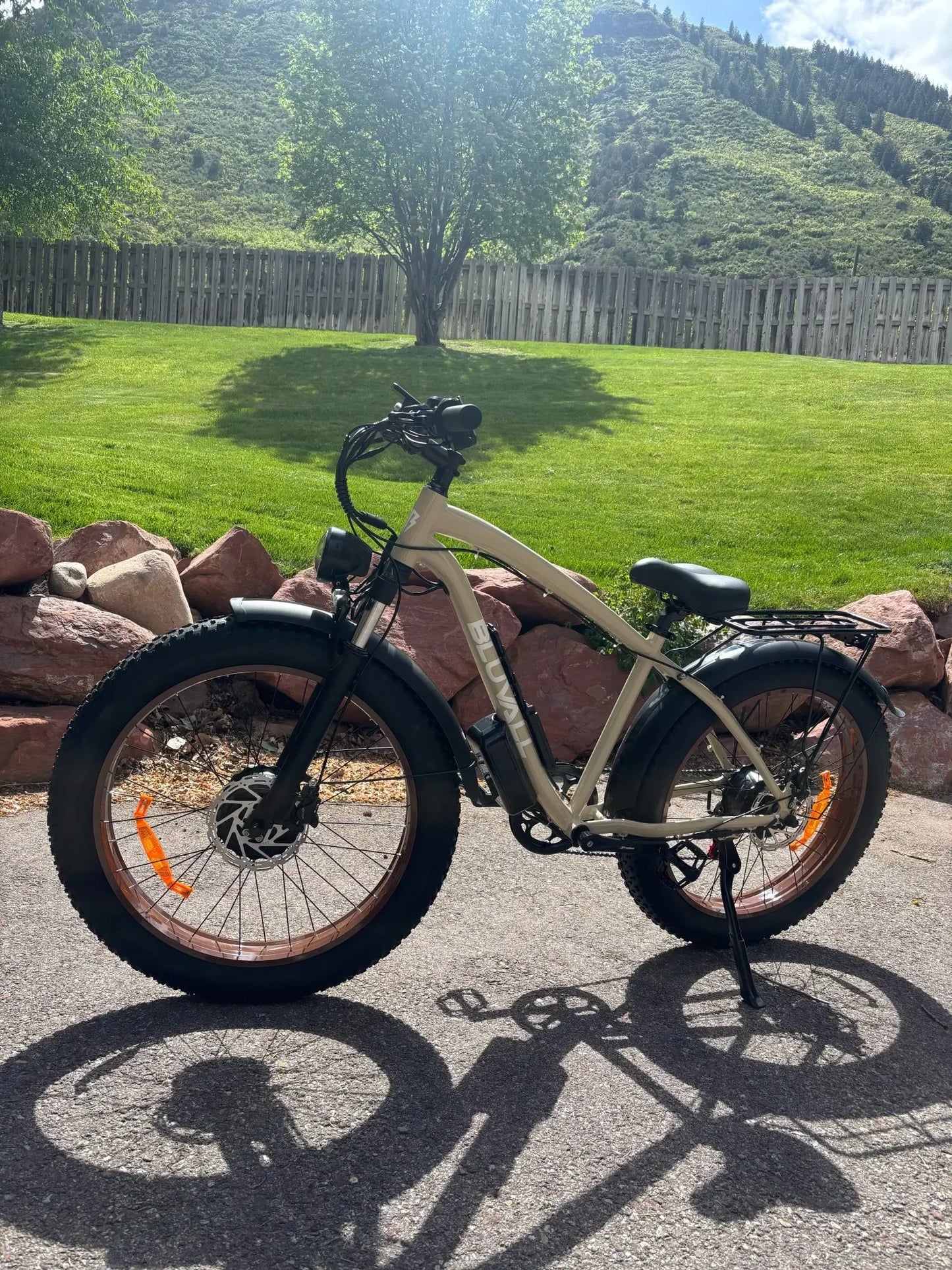 35 MPH High Speed, Electric Bike for All-Terrain