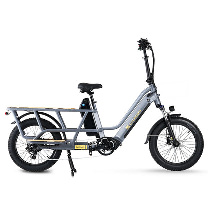 20-inch tire off-road family electric bicycle