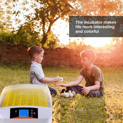 High quality 55 Egg Incubator with Humidity Display