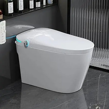 Luxury Smart Toilet with Water Tank, Auto Close Lid