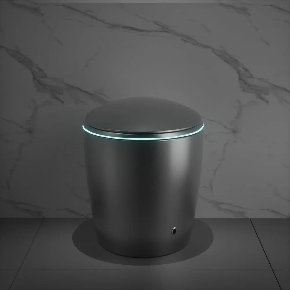 12“One Piece Elongated Smart Toilet with Egg-Shaped