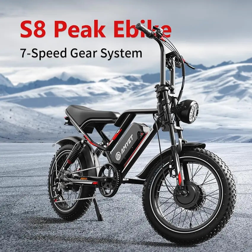 Adults Electric Bike with 2000W Dual Motor