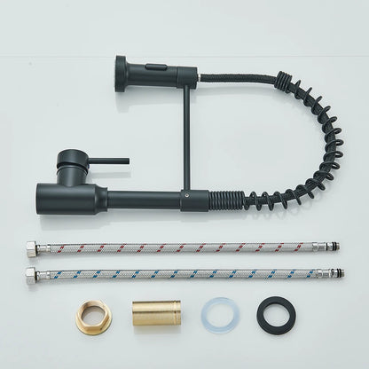 Matte Black Kitchen Sink Faucet One Handle Spring Mounted Kitchen Crane