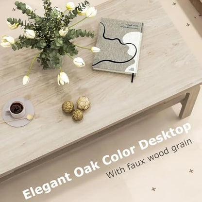 2-Tier Coffee Table with Storage