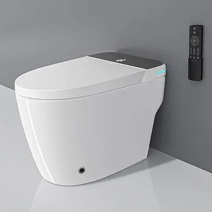 Luxury Smart Toilet with Water Tank, Auto Close Lid