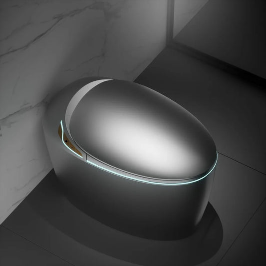 12“One Piece Elongated Smart Toilet with Egg-Shaped