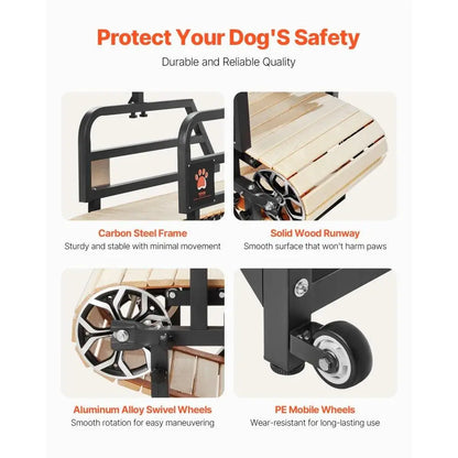 Treadmill for Dogs Supporting Up to 220 lbs.