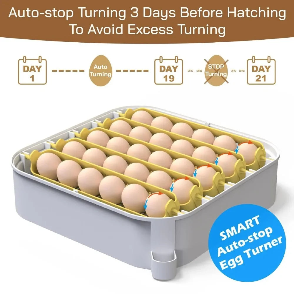 Tool 30 Egg Incubator with Automatic Egg Turner