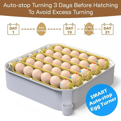 Tool 30 Egg Incubator with Automatic Egg Turner