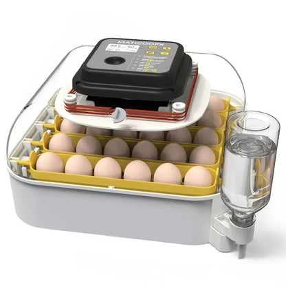 Tool 30 Egg Incubator with Automatic Egg Turner