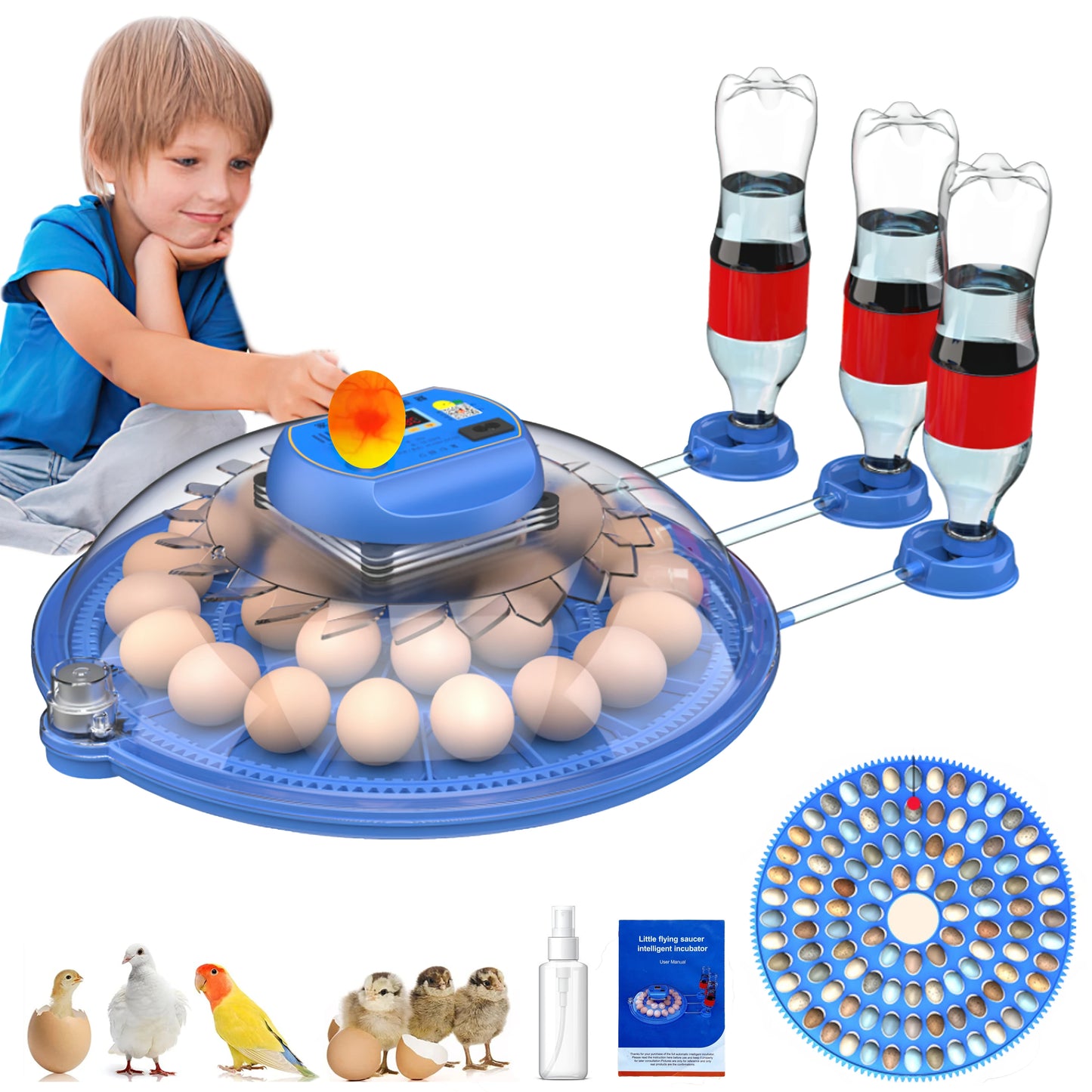 26-52 Eggs Automatic Incubator, Upgrade Automatic Water Adding