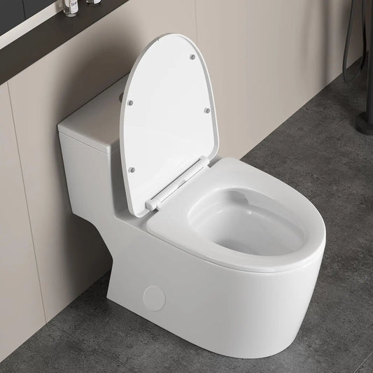 12"in One Piece Elongated Modern Toilet