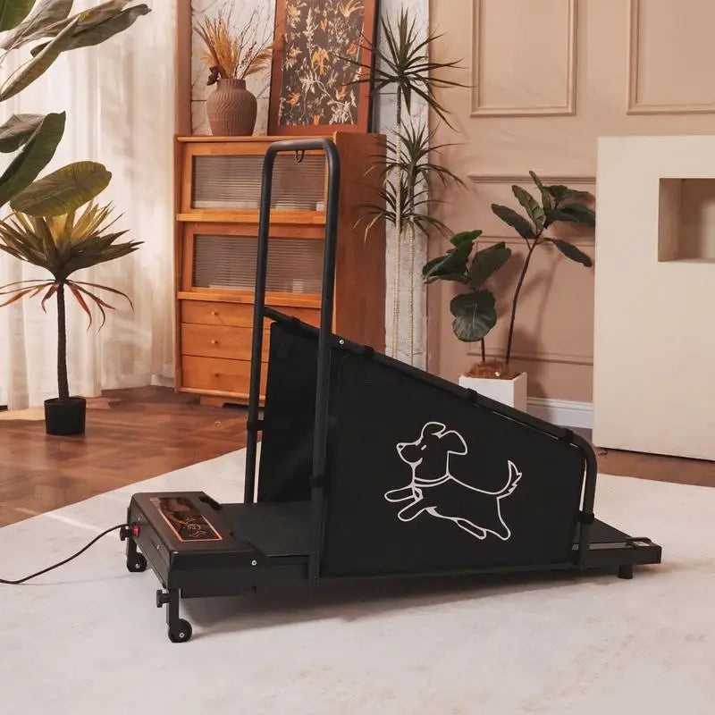 Pet Exercise Equipment for Running and Walking Activities