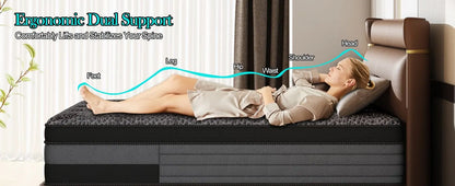 12/14inch Memory Foam Mattress