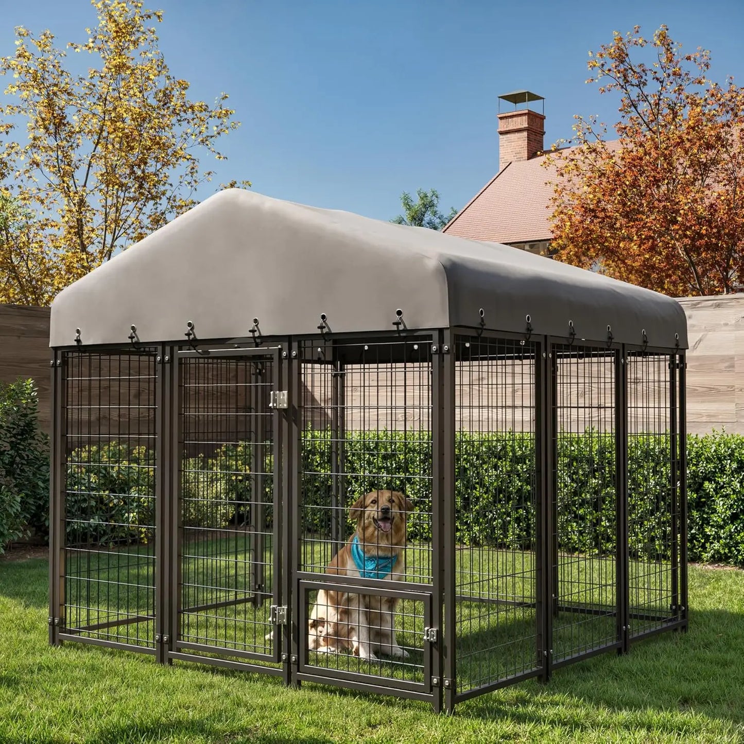 10X10FT Outside Heavy-Duty Outdoor Dog Cage with Roof and Double Lock