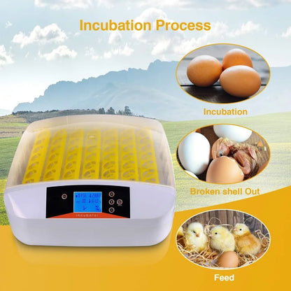 High quality 55 Egg Incubator with Humidity Display